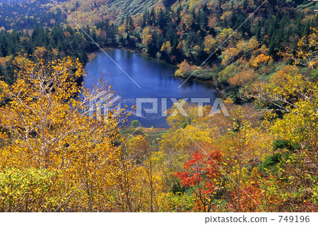 Hachimantaihe in autumn (Kumanuma) 749196