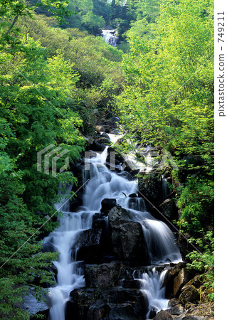 Hachimantairi·Ryokaze沒有瀑布 749211