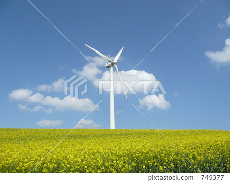 丹麥的風力發電 749377