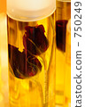 oil, oils, rose 750249