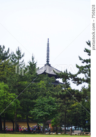 Five-story pagoda beyond the pine grove 750828