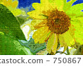 sunflower	 750867