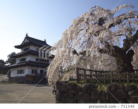 弘前城堡公園櫻花 弘前城堡公園櫻花 751348