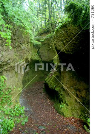 moss cave, koke no domon, dowoh 751360