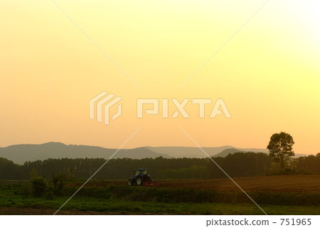 Corn field 751965