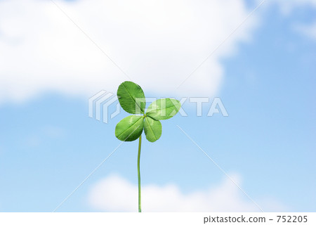 生長在天空的四片葉子 752205