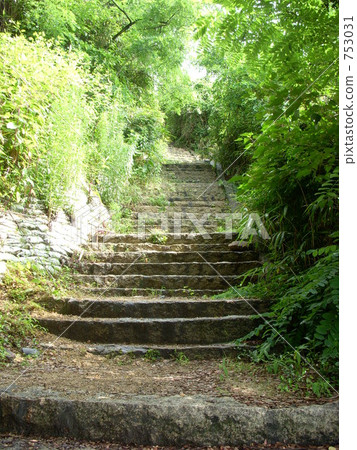 Stairs leading to the shrine Stairs leading to the shrine 753031