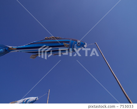 Bonito Bonito 753033