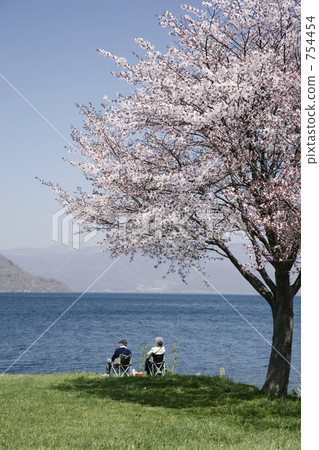 壯瞥町 山桜 老年中早期 754454