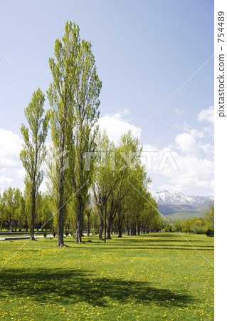 自然景色 札幌城市 日本前田森林公園 754489