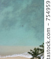 海龜 夏威夷 沙灘 754959