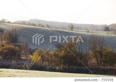 山丘 山 富良野 755559