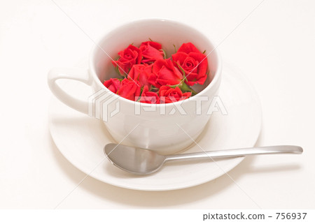 Rose with x-cup Rose with x-cup 756937
