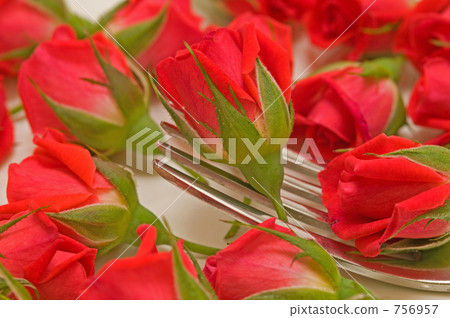 Fork and roses Fork and roses 756957