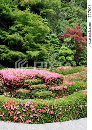 Satsuki-blooming Japanese garden Satsuki-blooming Japanese garden 757008