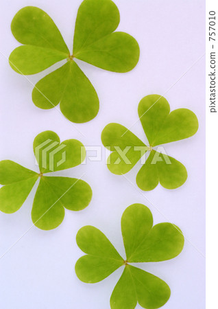 leaf leaf 757010