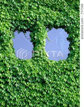 Abandoned house and vine ① 757388