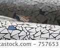 tiled, tiling, sparrow 757653