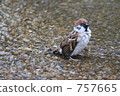 bathing in cold water, cold water bath, water surface 757665