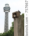 marine tower, pigeon, yokohama 757667