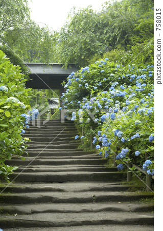Ajiji Temple 758015