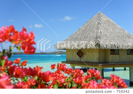 Tahiti / Bora Bora Water Cottage Tahiti / Bora Bora Water Cottage 758342
