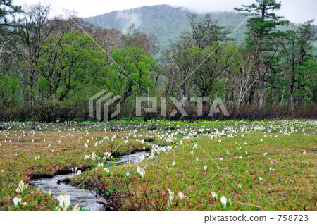 博士拉山和Mizubasho 博士拉山和Mizubasho 758723