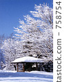 frost covered tree, fallen snow, calm 758754