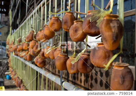 Dried persimmon Dried persimmon 759014