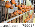 Dried persimmon 759017