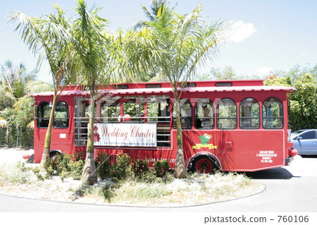 手推車 戶外 椰子樹 760106