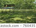 bench, benches, saikai bridge 760435