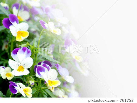 花壇 花壇 761758