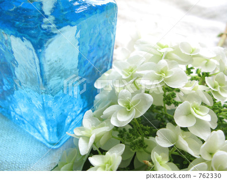 繡球花 雪花 玻璃瓶 762330