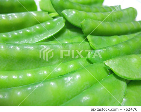 Silk sheath Silk sheath 762470