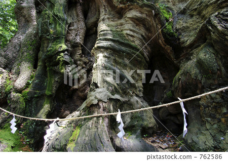 Shoguya Shrine的Oubusi Shoguya Shrine的Oubusi 762586