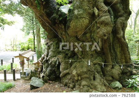 Oubusi of Shoguya Shrine 762588