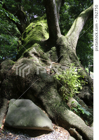 小宮神社的第二個Otuni神社 小宮神社的第二個Otuni神社 762750