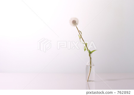 Symbiosis 762892
