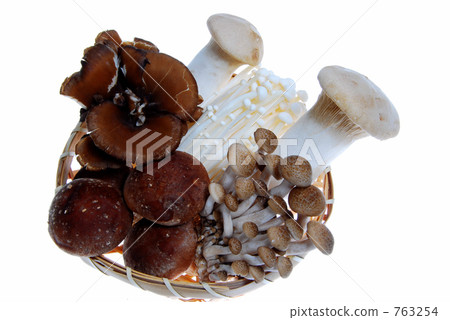 Mushroom Sheng Mushroom Sheng 763254