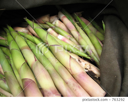 The inside of the backpack is bamboo shoots 763292