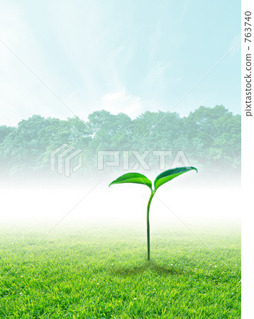 Budding image 763740