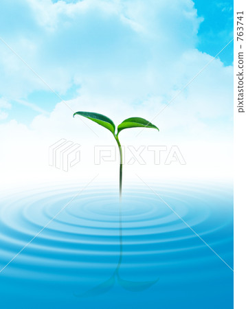 Leaf of water 763741