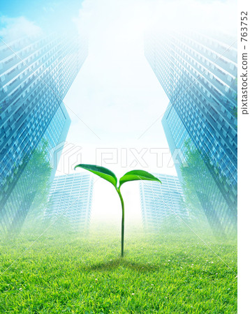 sprout, young leafe, bud 763752