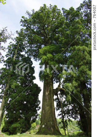 Murayama Asama Festival of Osugi 764087