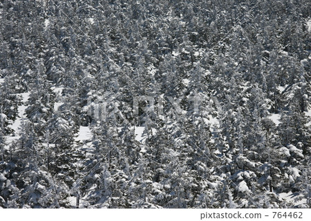 The watershed of Hachimantaira of the remaining snow 764462
