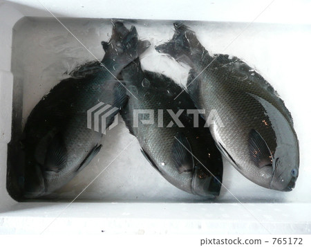 Medina at the fishing port Medina at the fishing port 765172