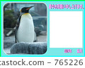 Penguin · summer 765226