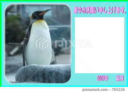 Penguin · summer 765226