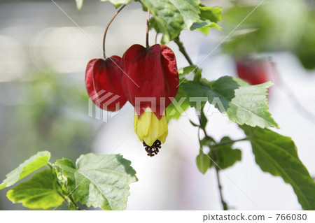 Tyrolean lamp Tyrolean lamp 766080